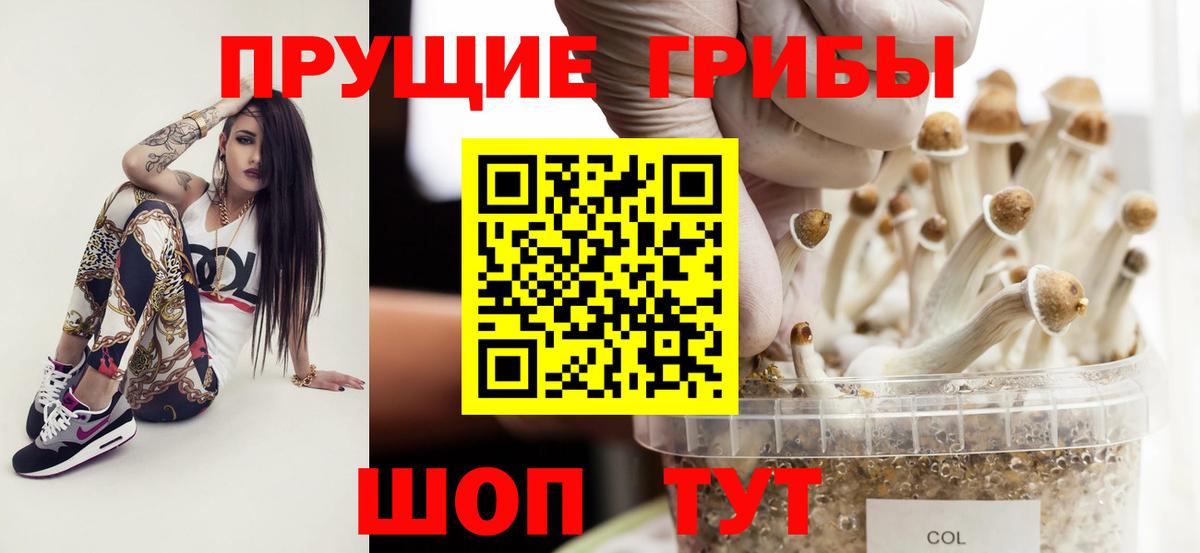 Королёв  Галлюциногенные грибы Magic Shrooms  Вход с VPN 